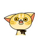 猫みかんさん（個別スタンプ：1）