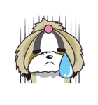 シーズースタンプ（個別スタンプ：25）