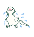 つばさとしっぽ（とり）（個別スタンプ：19）