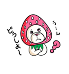 くだもの犬  FRUIT DOG（個別スタンプ：3）