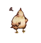 お洒落な鳥たち ツヴァイ（個別スタンプ：11）
