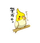 ぺっとり♪vol.01（インコ）（個別スタンプ：15）