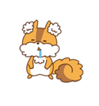 りすです。3さいです。（個別スタンプ：25）