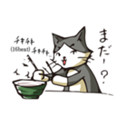 ねこバンド（個別スタンプ：27）