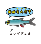 熱帯魚の仲間達（個別スタンプ：16）