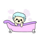 トイプードルのクウタ君（個別スタンプ：20）
