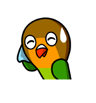 ボタンインコのSBBさん（個別スタンプ：11）