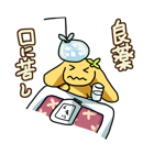 ことわざウサギのピノ（個別スタンプ：37）