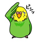 インコのコビィと愉快な仲間たち（個別スタンプ：19）
