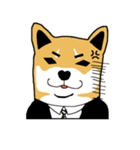 柴犬サラリーマン（個別スタンプ：37）
