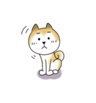 日本犬 マルちゃん 2（個別スタンプ：7）