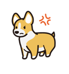 愛犬スタンプシリーズ1 コーギー風（個別スタンプ：11）