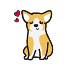 愛犬スタンプシリーズ1 コーギー風（個別スタンプ：36）
