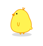 ひよこ100％（個別スタンプ：3）