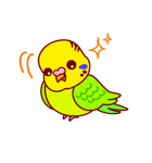 インコちゃんといっしょにね（個別スタンプ：4）
