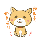 おすわり犬まめた（個別スタンプ：1）