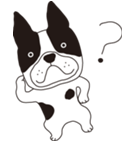 またーりわんこ生活（個別スタンプ：5）