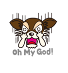 犬種別スタンプ② チワワ（ロングコート）（個別スタンプ：31）