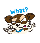 犬種別スタンプ② チワワ（ロングコート）（個別スタンプ：38）