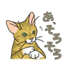 NO CAT NO LIFE サトヲ猫スタンプ2（個別スタンプ：3）