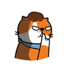 Plakem, the cat（個別スタンプ：11）