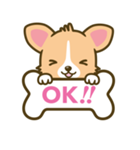 ウェルシュ・コーギー／welsh corgi（個別スタンプ：13）