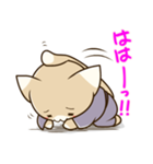 しっぽちょんまげ ～江戸にゃんこ～（個別スタンプ：12）