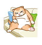かわいい猫のスタンプ（個別スタンプ：40）