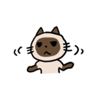 シャムにゃんこ（個別スタンプ：12）