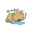 ねこねこ（個別スタンプ：31）