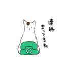 猫日和（個別スタンプ：28）