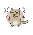いろいろいるいろねこ（個別スタンプ：19）