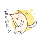 いろいろいるいろねこ（個別スタンプ：28）
