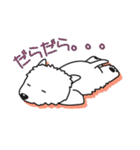 しろいぬルッチー（個別スタンプ：23）