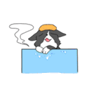 ボーダー・コリーの たま（個別スタンプ：27）