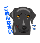 ウチのナマモノ～動物スタンプ～（個別スタンプ：14）