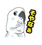 ウチのナマモノ～動物スタンプ～（個別スタンプ：19）