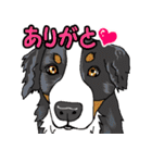 ウチのナマモノ～動物スタンプ～（個別スタンプ：20）