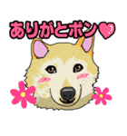 ウチのナマモノ～動物スタンプ～（個別スタンプ：21）