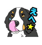 ウチのナマモノ～動物スタンプ～（個別スタンプ：22）