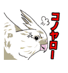 ウチのナマモノ～動物スタンプ～（個別スタンプ：29）