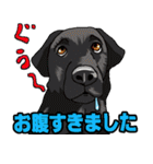 ウチのナマモノ～動物スタンプ～（個別スタンプ：40）