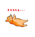 コギ男のスットコな日々（個別スタンプ：6）