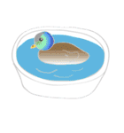 Lovely bird’s happy life（個別スタンプ：17）