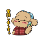 プードルのわっふる（個別スタンプ：39）