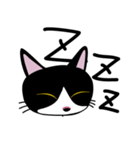 ハチワレ靴下猫（個別スタンプ：14）