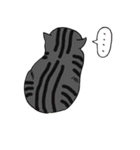 猫の香箱座り（個別スタンプ：19）