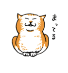 猫の香箱座り（個別スタンプ：39）