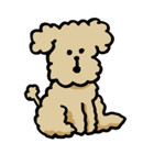 ぼくだよ！トイプードル（個別スタンプ：3）
