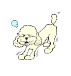 トイプー☆トイプードル祭り！（個別スタンプ：34）